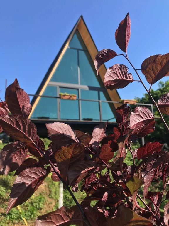 Шале Hilltop Batumi Батуми-21